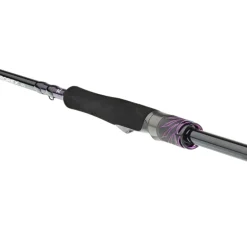 Canne Spinning Daiwa Prorex Ags Spinning