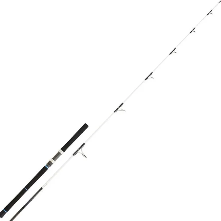Canne Spinning Daiwa Saltist