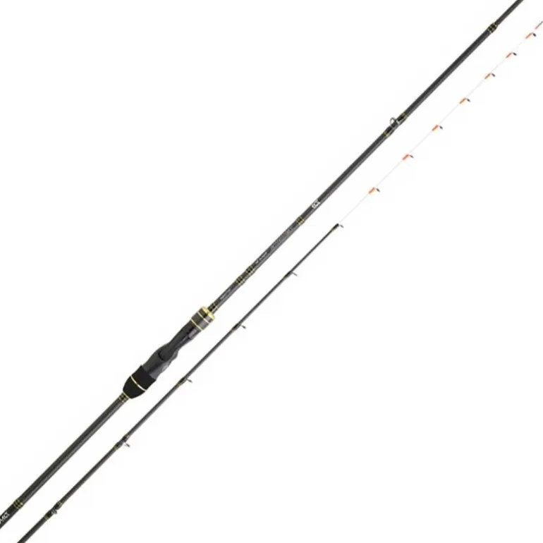 Canne Spinning Daiwa Team Daiwa Tenya