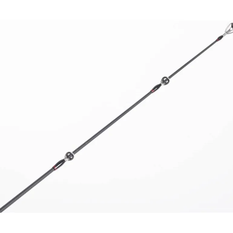 Canne Spinning Hart Bloody Marine Lj82