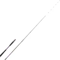 Canne Spinning Hearty Rise Shiga Tenya Spinning