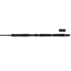 Canne Spinning Penn Squadron Iii Boat Spinning Rod
