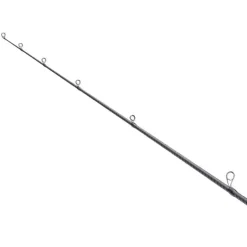 Canne Spinning Shimano Exsence Infinity
