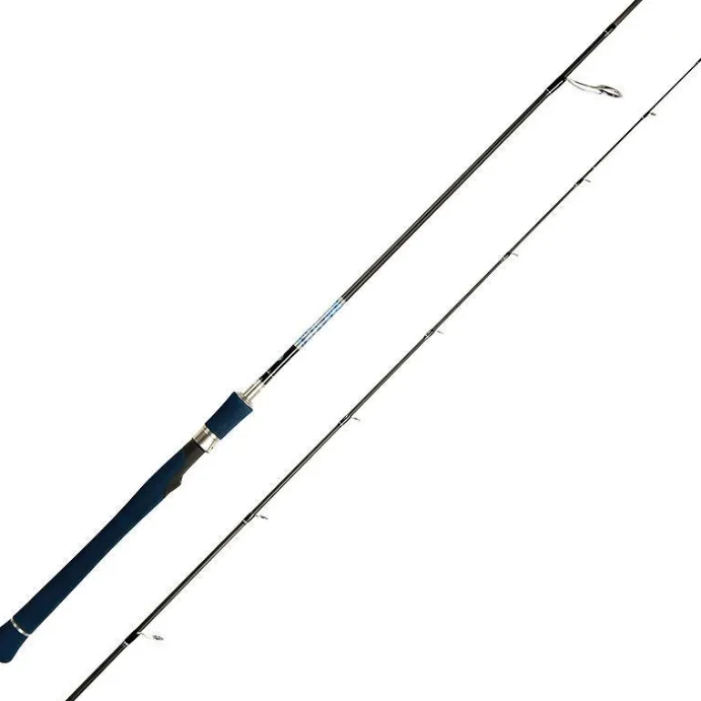 Canne Spinning Smith Dragonbait Seabass Lx