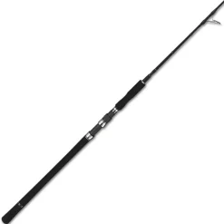 Canne Spinning Tailwalk Jigforce Ssd S604