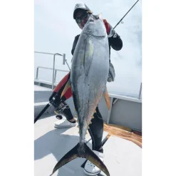Canne Spinning Tailwalk Kuroshio Oc 80Xh