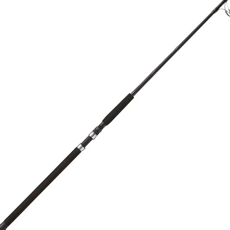 Canne Spinning Tailwalk Mb Sprint Stick 711H Tuna