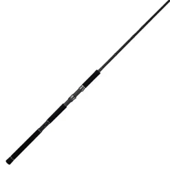 Canne Spinning Tailwalk Rize Shooter Ssd S96mh