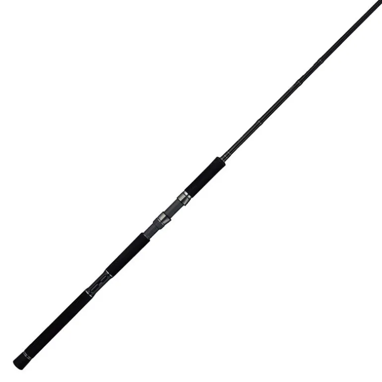 Canne Spinning Tailwalk Rize Shooter Ssd S96mh