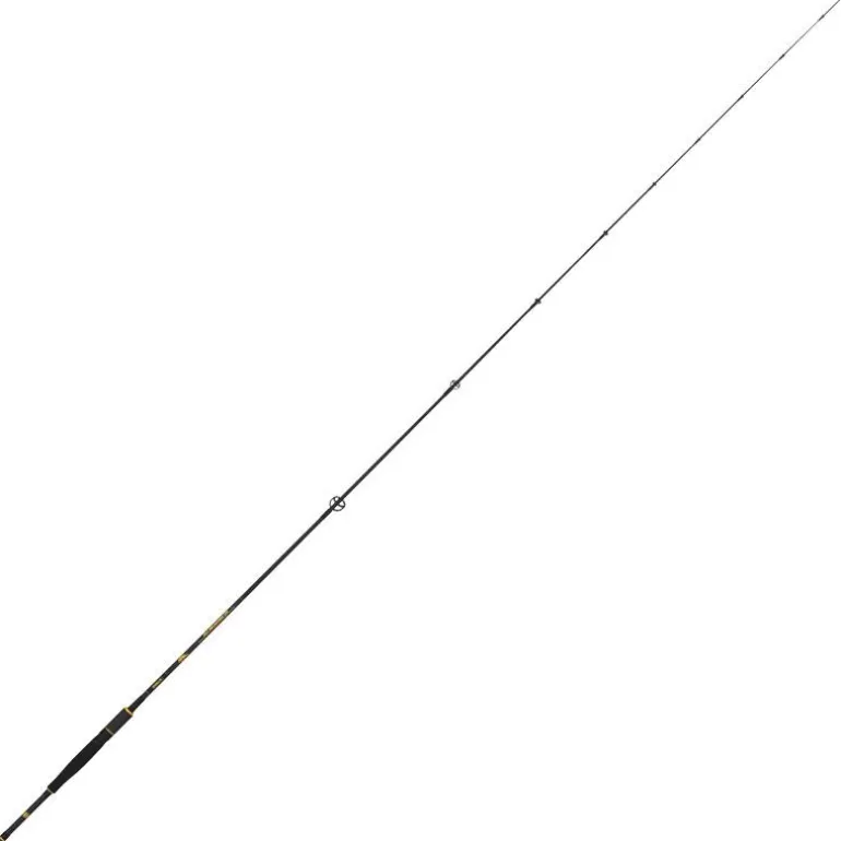 Canne Spinning Tubertini Sw Seabass Sb