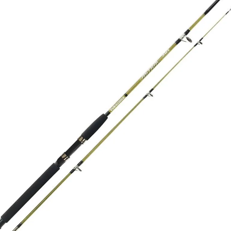 Canne Spinning Yokozuna Astral