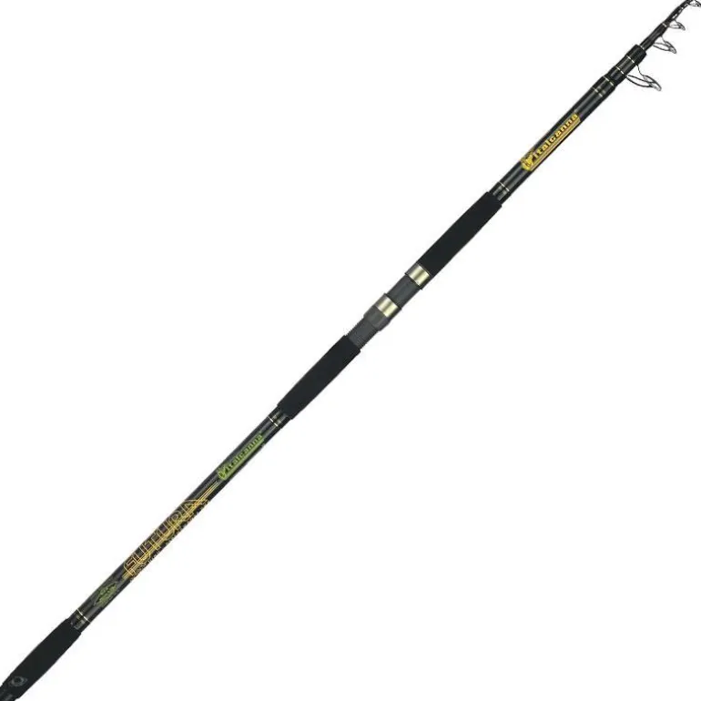 Canne Surf Telescopique Italcanna Futura