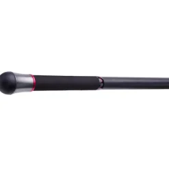 Canne Surf Téléescopique Daiwa Emblem Surf Type R