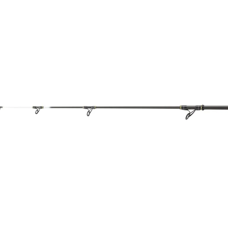 Canne Surf Télescopique Daiwa Powermesh Tele Surf