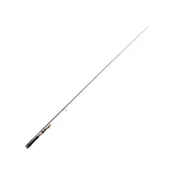 Canne Tenryu Injection Fast Finess L