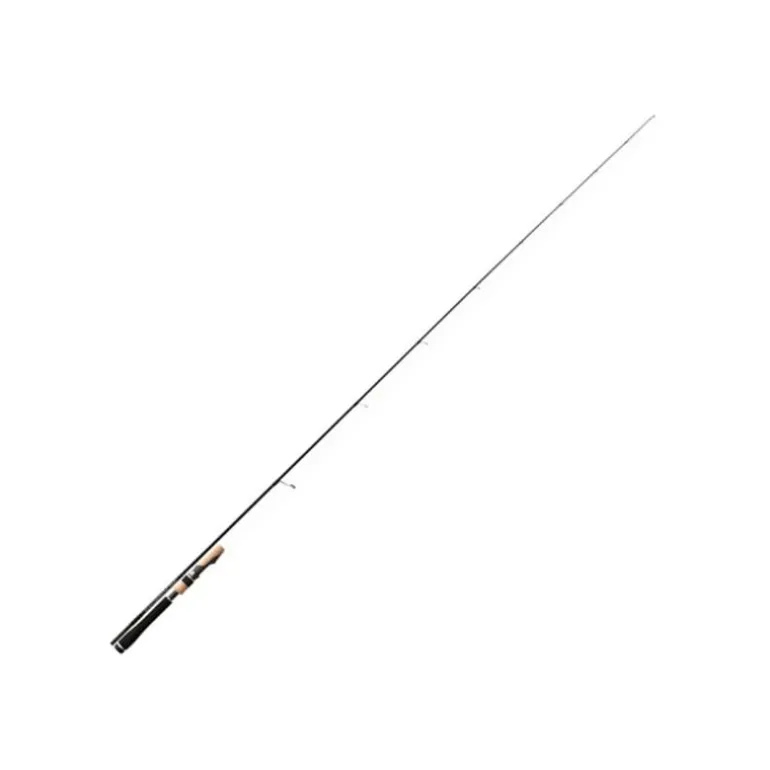 Canne Tenryu Injection Fast Finess L