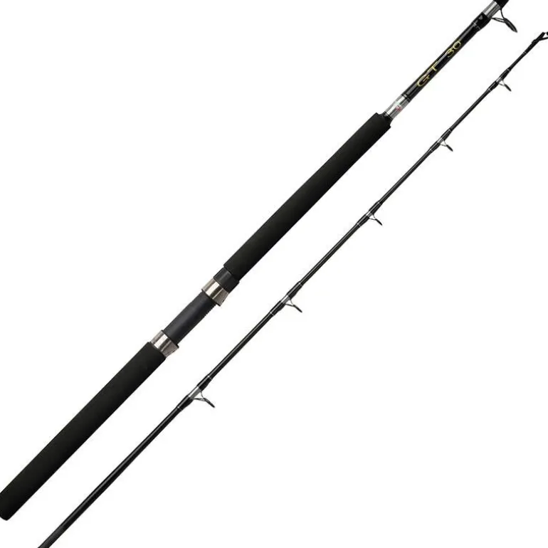 Canne Traine Abu Garcia Gt Trolling
