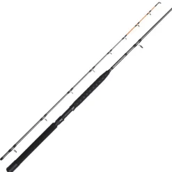 Canne Traine Dam Salmonizer Trolling