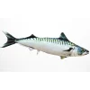 Coussin Maquereau Atlantique Gaby