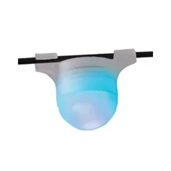 Detecteur Ragot Auto Light Bleu