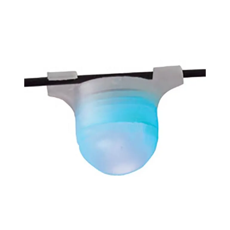 Detecteur Ragot Auto Light Bleu