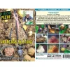 Dvd - Amorçage En Etang : Coup, Anglaise Et Feeder Avec Jean Desque - Peche Au Coup - Video Peche