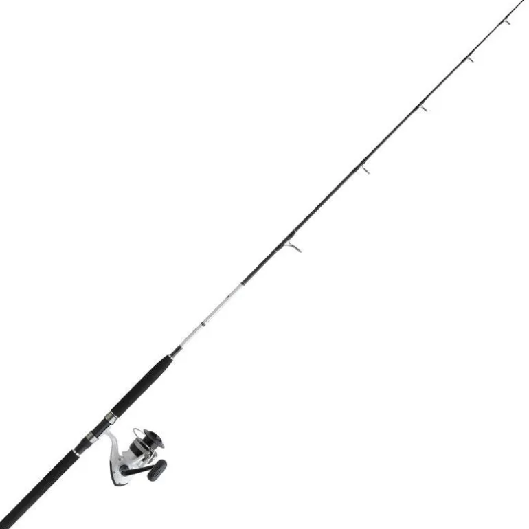 Ensemble Daiwa Set Jigging Dw04