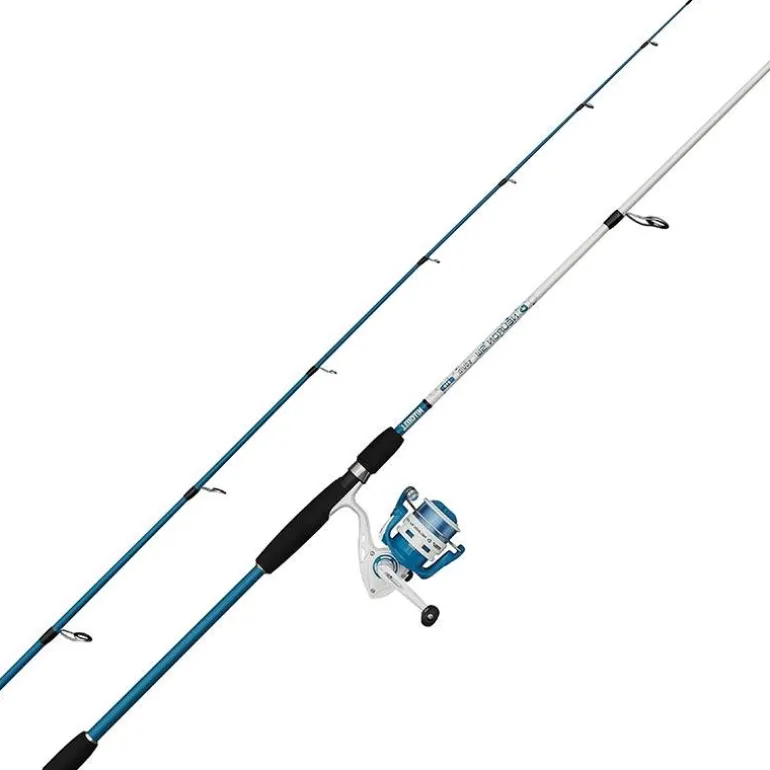 Ensemble Eging Mitchell Neuron Sw Ii Squid Combo