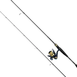 Ensemble Spinning Daiwa Pack Rs