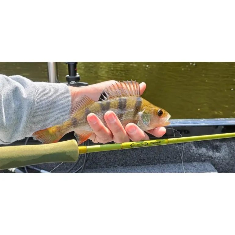 Guide Mouche Carnassiers Auvergne Mickael Miclet