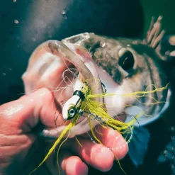Jig Spro Bucktail Jig Crazy