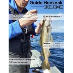 Kit Aiguille Hookook Ikejime