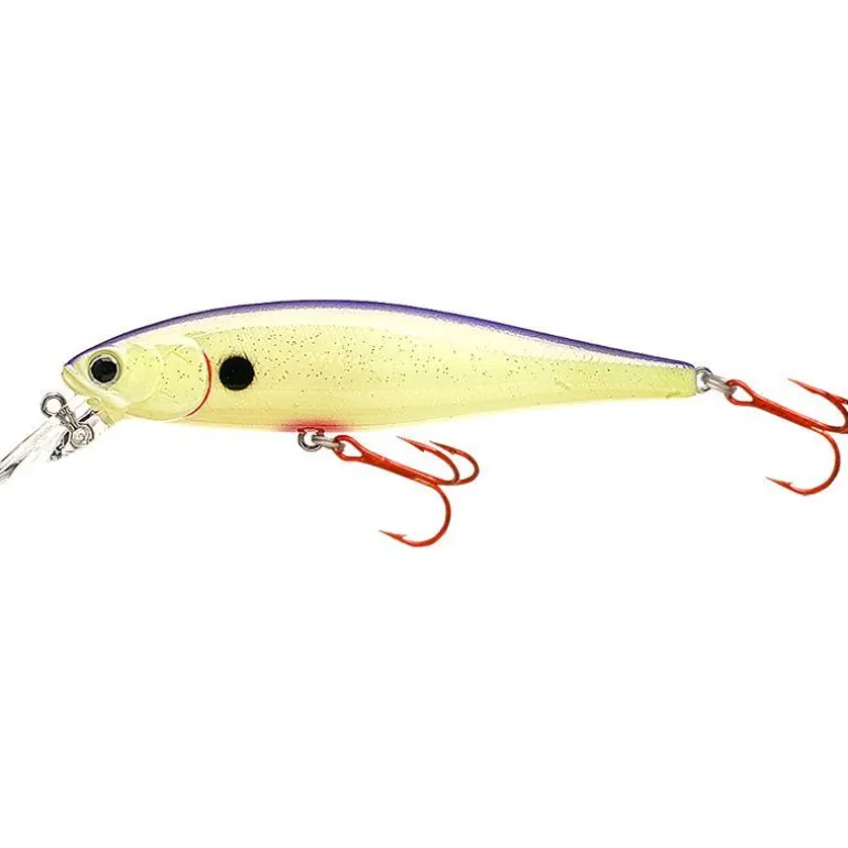 Leurre Suspending Lucky Craft B'freeze Pointer 100 Lb Sp - 10Cm