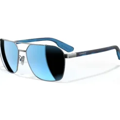 Lunettes Polarisante Leech Falcon