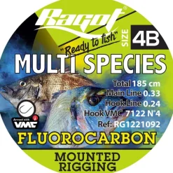 Montage Tout Venant Ragot Multi Species Rig