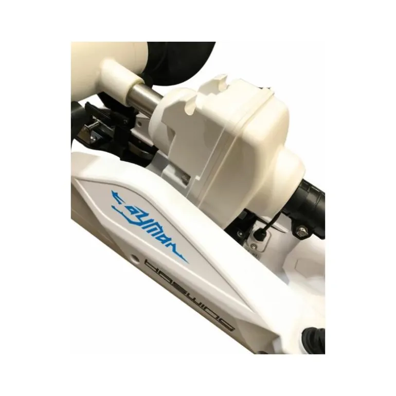 Moteur Électrique Haswing Cayman-B 80Lbs Gps 24V Blanc Version 1.6