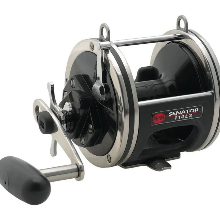 Moulinet Mer Traine Penn Special Senator