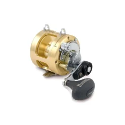 Moulinet Mer Traine Shimano Tiagra