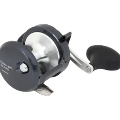 Moulinet Traine Shimano Torium