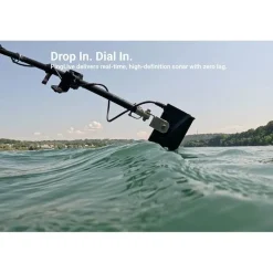 Sonde Accuphy Live Pinglive Sonar