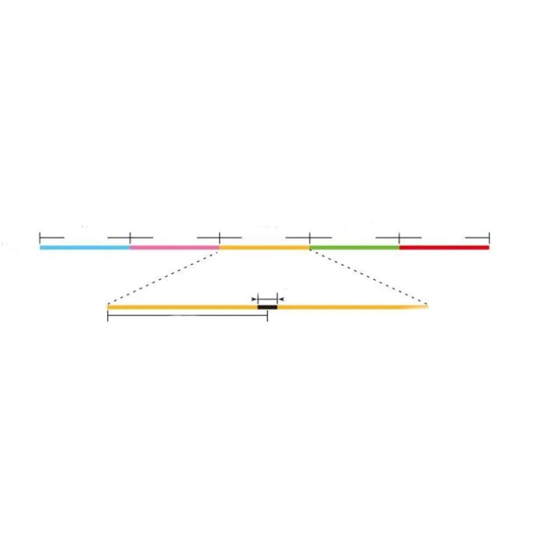 Tresse Sunline Fun Boat - 200M